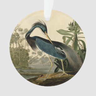 Ornamento Audubon Louisiana Heron Birds América Art