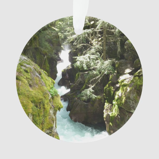 Ornamento Avalanche Gorge II no Parque Nacional Glacier (Frente)