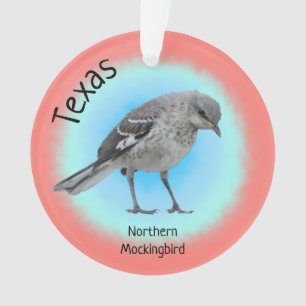 Ornamento Ave do Estado do Texas