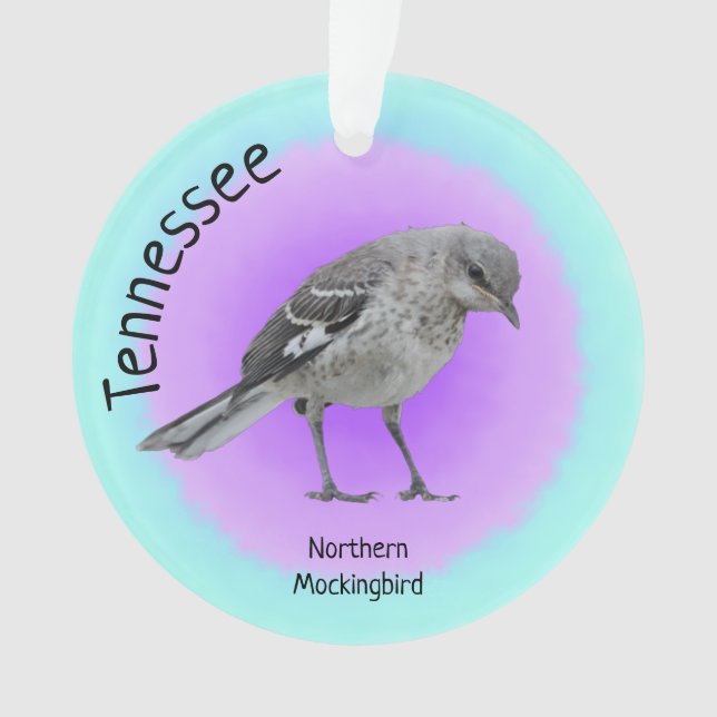Ornamento ave estadual do Tennessee (Frente)