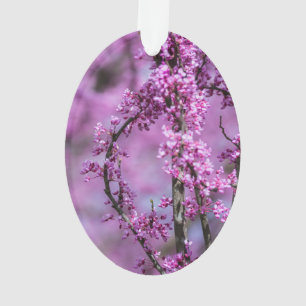 Ornamento Avondale Redbud Art
