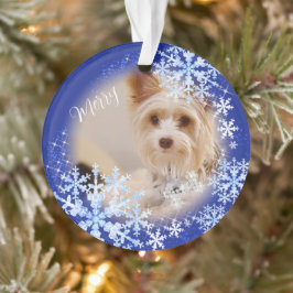 Ornamento Azul de Natal Pet Dog