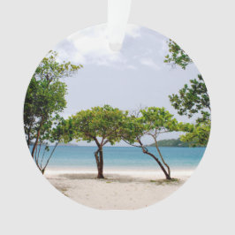 Ornamento Baía de Magens (Rua Thomas, USVI)