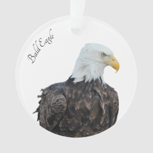 Ornamento Bald Eagle