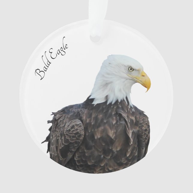 Ornamento Bald Eagle (Frente)