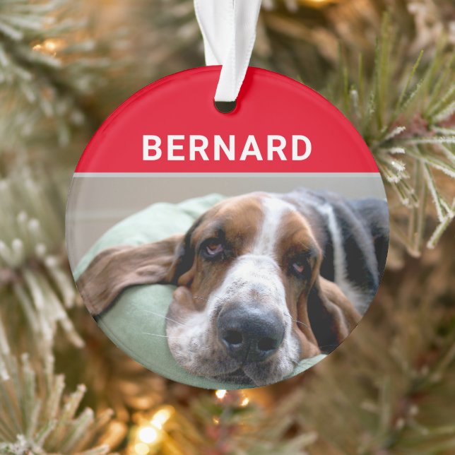 Ornamento Basset Hound com nome de cachorro e foto de Natal (Árvore)