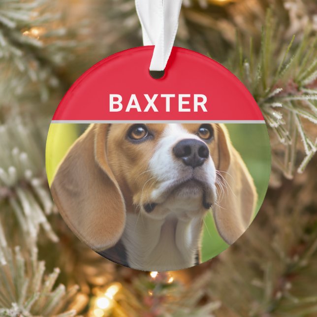 Ornamento Beagle com nome de cão e foto de Natal (Árvore)