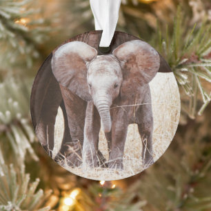 Ornamento Bebê Elefante Fofo Elefante Africano com a Mamãe