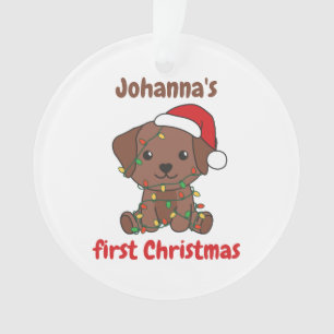 Ornamento Bebês de inverno do Natal Labrador no primeiro Nat