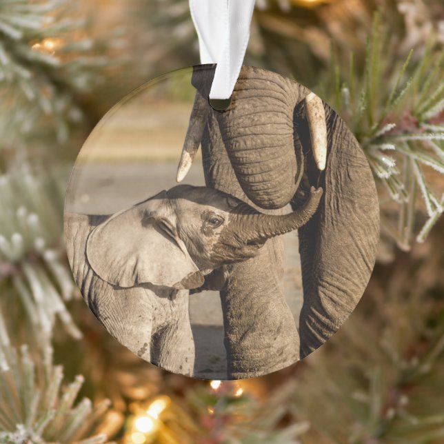 Ornamento Bebês Mais Pobres | Bebê Elefante e mamã (Árvore)