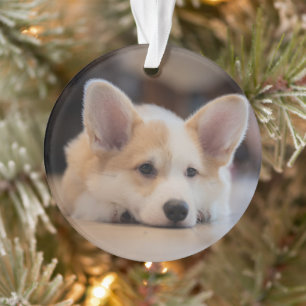 Ornamento Bebês Mais Pobres Corgi-Puppy com sono
