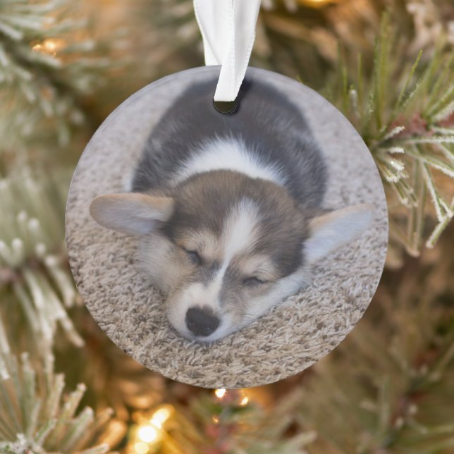 Ornamento Bebês Mais Pobres | Corgi Puppy em Shag Rug (Árvore)