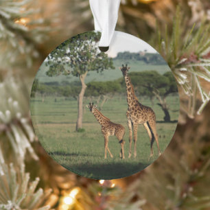 Ornamento Bebês Mais Pobres   Giraffe Calf & Mama