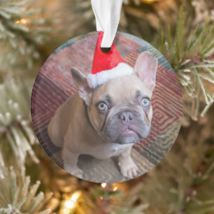 Ornamento Bebês Mais Pobres Natal francês para o Buldogue