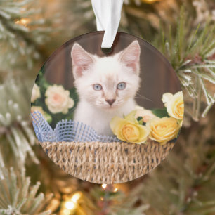 Ornamento Bebês Mais Pobres Rosas de Kitten e Amarelo