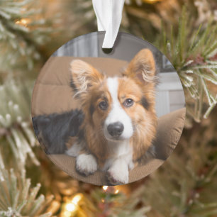 Ornamento Bebês Mais Pobres   Torneiras de Corgi de Cabelo L