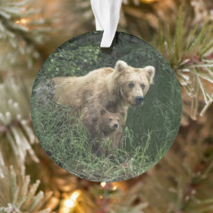 Ornamento Bebês Mais Pobres Urso-Da-Mama E Cubos