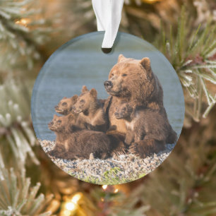 Ornamento Bebês Mais Pobres   Urso-Mãe e Cubos