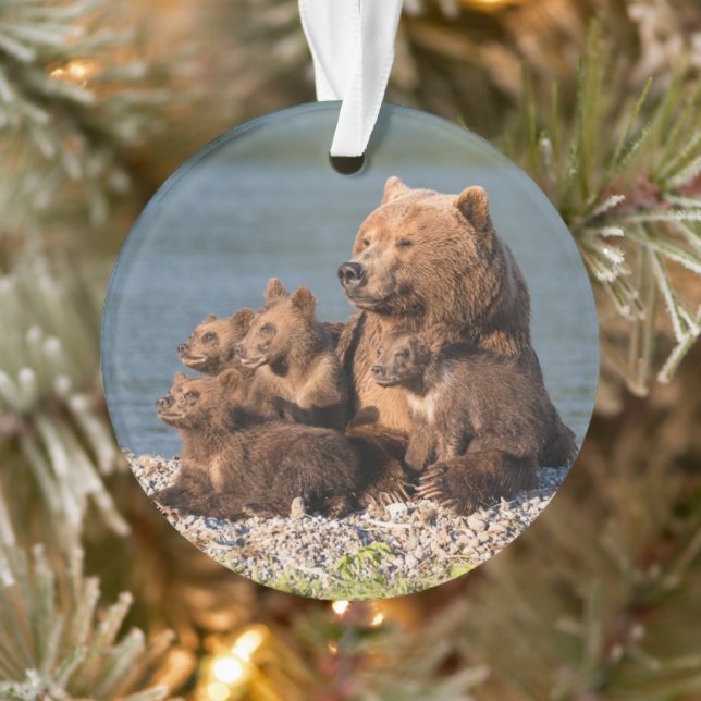 Ornamento Bebês Mais Pobres | Urso-Mãe e Cubos (Árvore)