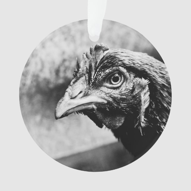 Ornamento bebidas espirituosas e galinhas (Frente)