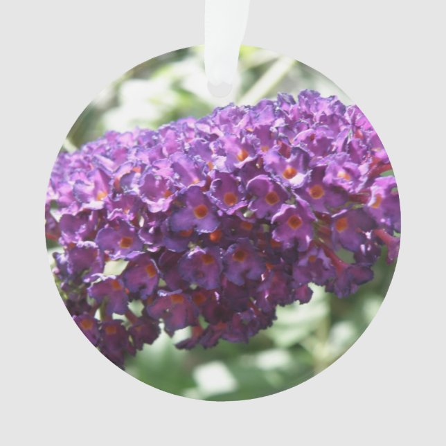 Ornamento Belo budleia roxo, flores acrílicas (Frente)