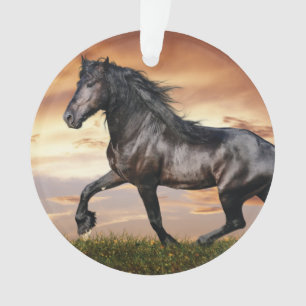 Ornamento Belo Cavalo Negro