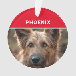Ornamento Berger Picard Dog's Name e Photo Christmas