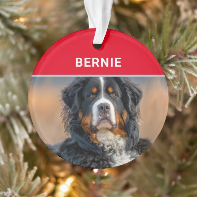Ornamento Bernese Mountain Dog's name e Photo Christmas (Árvore)