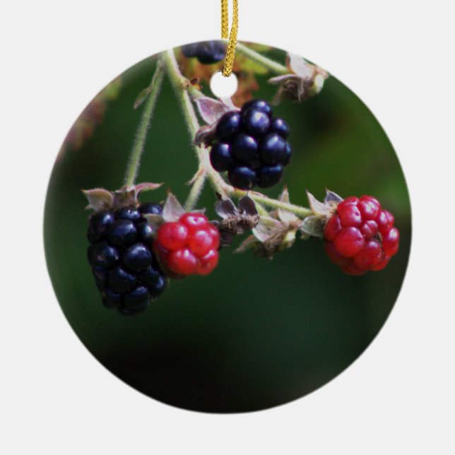 Ornamento Berry Branches (Frente)