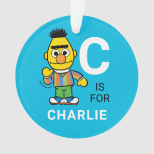 Ornamento Bert   Nome Personalizado com Pedido de Fotografia