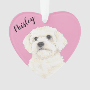 Ornamento Bichon Bolognese Coton Havanese, cor-de-rosa