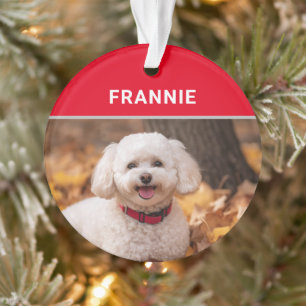 Ornamento Bichon Frise Dog's Name e Photo Christmas