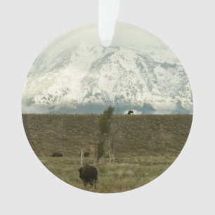 Ornamento Bison no Grand Teton National Park Fotografia