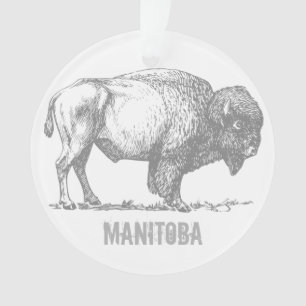 Ornamento Bisonte de Manitoba