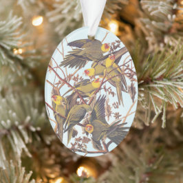 Ornamento Bloqueio de Periquito da Carolina de Audubon