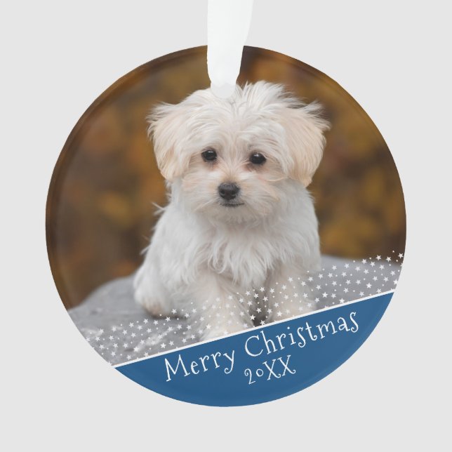Ornamento Blue Dog Pet Photo Natal Keepsasasasakorna (Frente)