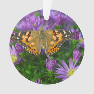 Ornamento Borboleta de Asa Angular em Flor de Cone