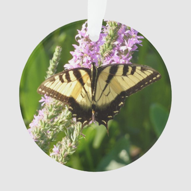 Ornamento Borboleta-de-cauda-andorinha em Flores Roxas (Frente)