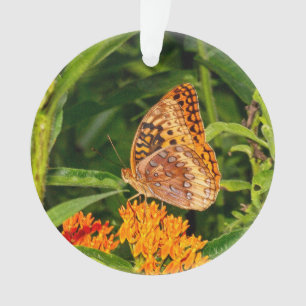 Ornamento Borboleta de Fragmentação com excelente