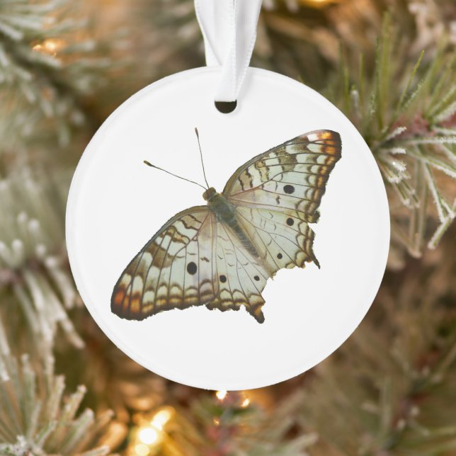 Ornamento Borboleta Exótica de Santa Lúcia (Árvore)