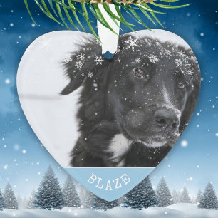 Ornamento Borda Collie Christmas Personalized Pet Photo