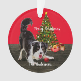 Ornamento Borda Collie e Árvore de Natal 