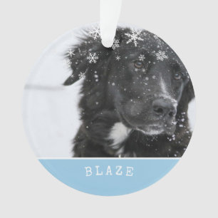 Ornamento Border Collie Natal Personalizado Foto do Animal d