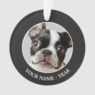 Ornamento Boston Terrier