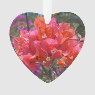 Ornamento Bougainvillea rosa tropical