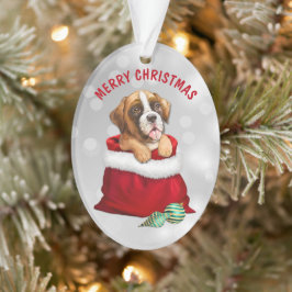 Ornamento Boxer Dog Surprise Ornament