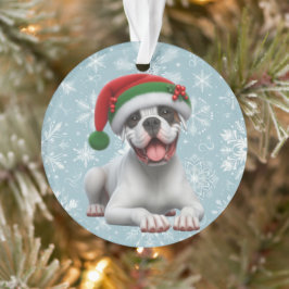 Ornamento Boxer Jingle All the Way Natal