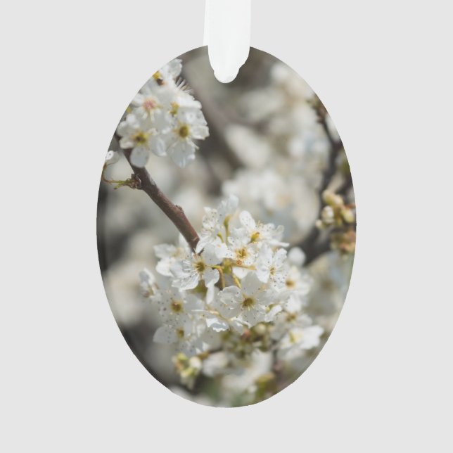 Ornamento Bradford Select Focus (Verso)