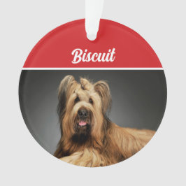 Ornamento Briard Shepherd Dog Holiday