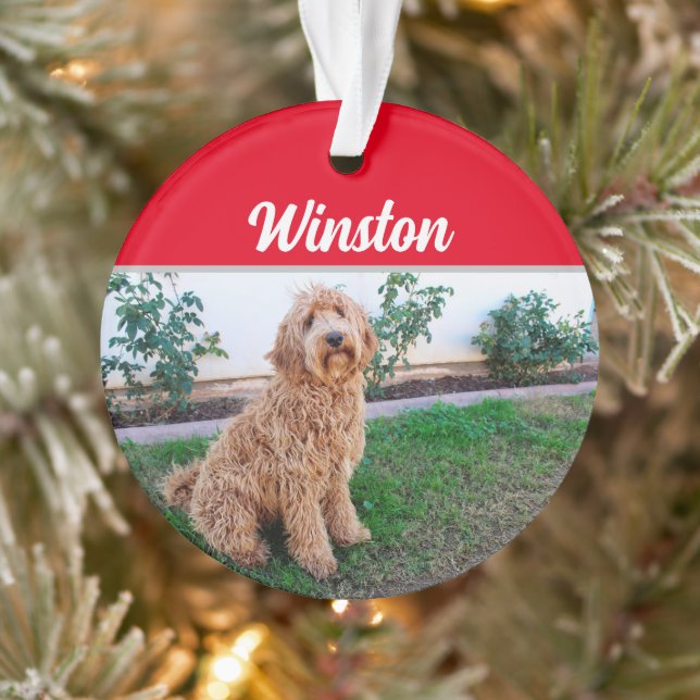 Ornamento Brown Labradoodle Dog com o nome Foto Natal (Árvore)